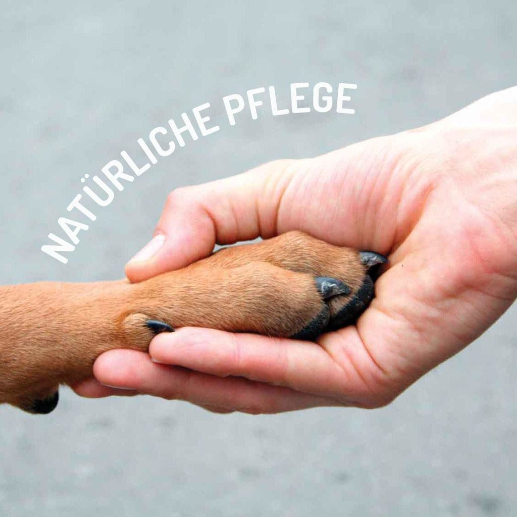 "Natürliche Pflege" Pfote in einer Hand